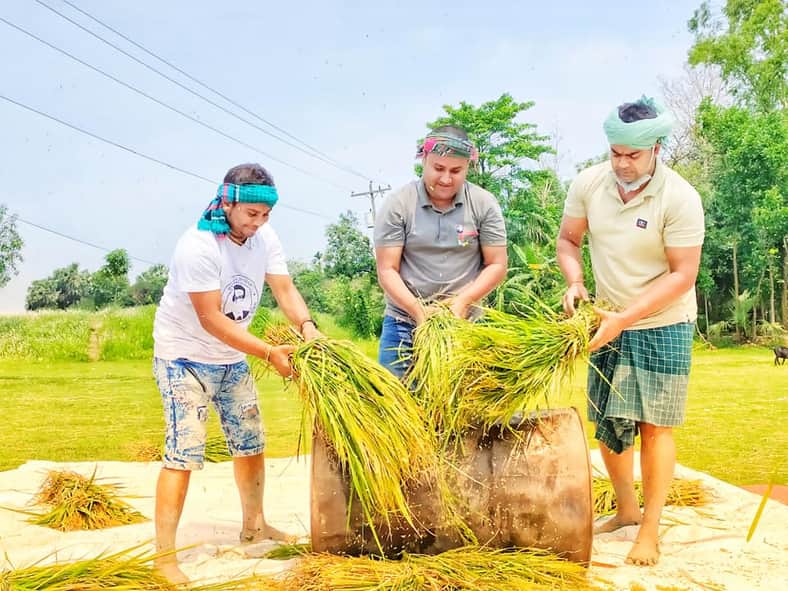 কালীগঞ্জে ধান কাটা, বাড়ি নেওয়া, মাড়াই সবই করছে ছাত্রলীগ !