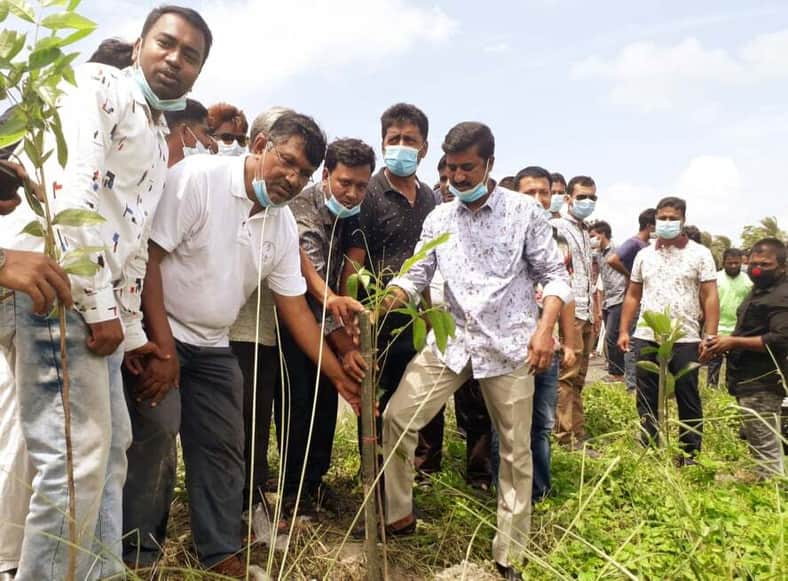 মানিকগঞ্জে যুবলীগের উদ্যোগে বৃক্ষরোপন