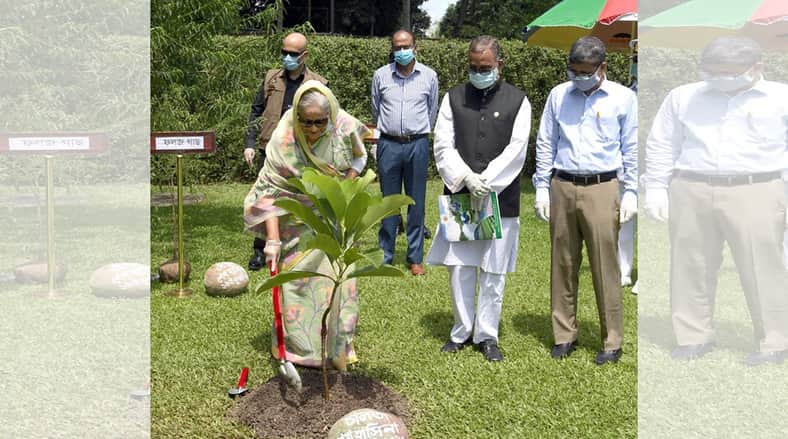 দেশের বনভূমি ২৫ শতাংশে উন্নীত করার লক্ষ্য পুনর্ব্যক্ত করলেন প্রধানমন্ত্রী