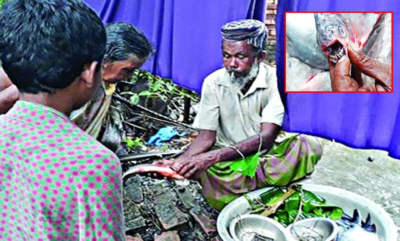 ১৫০ টাকায় ‘রূপচাঁদা’ কিনে ধরা