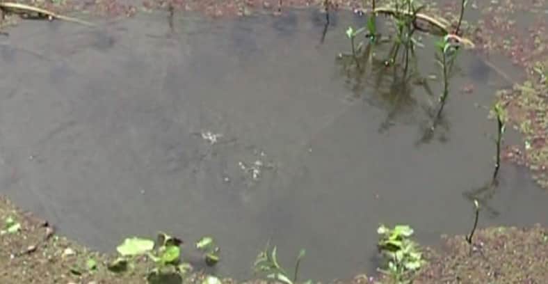 করোনা থেকে রক্ষা পেতে ডোবায় গোসলের হিড়িক