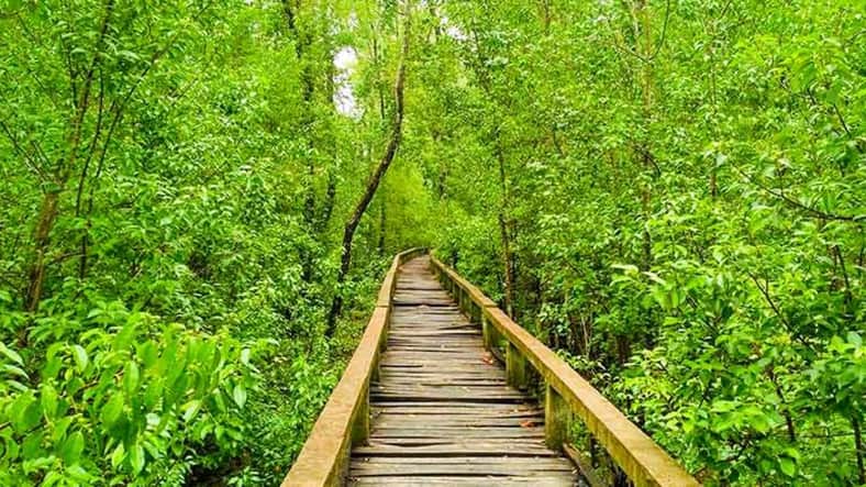 ঘুরে আসুন বরগুনার নৈসর্গিক পর্যটন স্পটগুলো