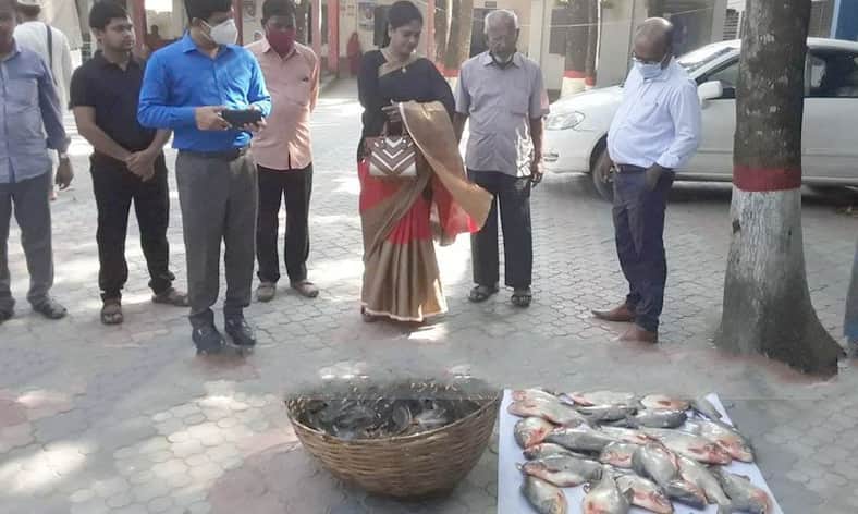 ২০ কেজি নিষিদ্ধ পিরানহা ও ৬০ কেজি আফ্রিকান মাগুর জব্দ