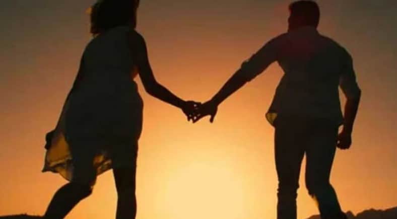 শ্বশুর-ননদকে ঘুমের ওষুধ খাইয়ে গৃহবধূর পলায়ন