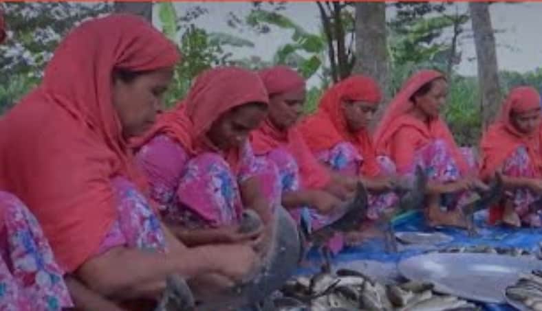 ইউটিউব বদলে দিয়েছে কুষ্টিয়ার শিমুলিয়া গ্রামকে