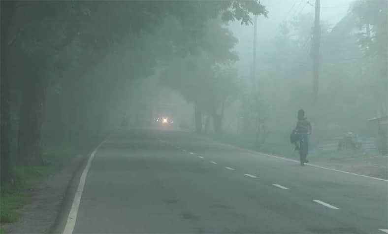 শৈত্যপ্রবাহ নিয়ে নতুন করে যা জানা গেল