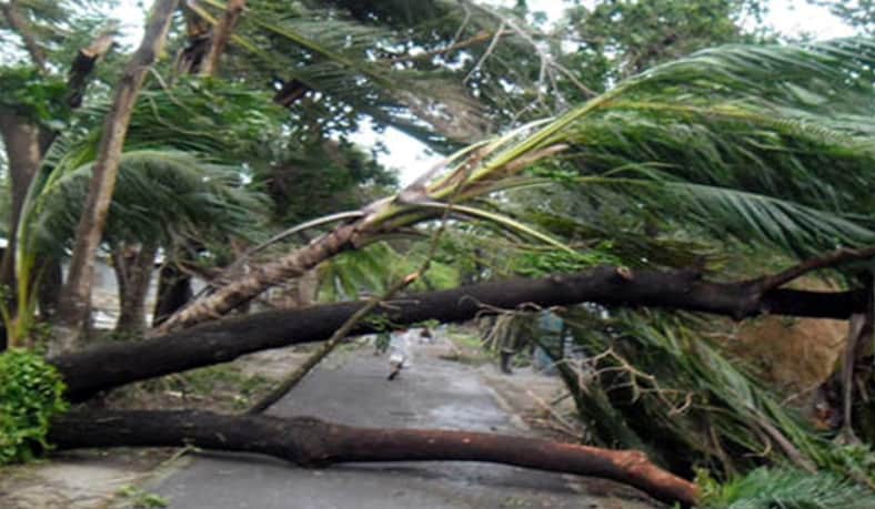 ইয়াসের তাণ্ডবে ভোলায় প্রাণ গেল একজনের