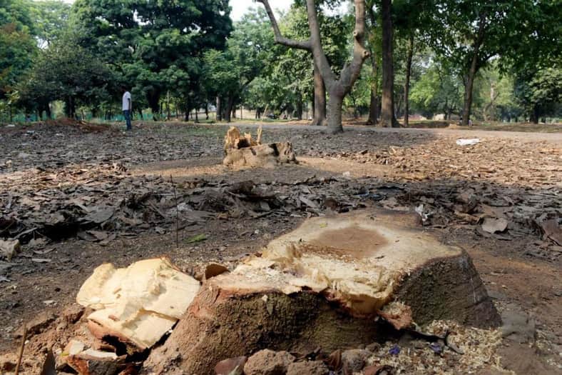সোহরাওয়ার্দী উদ্যান: গাছ কাটা বন্ধে রিটের শুনানি আজ