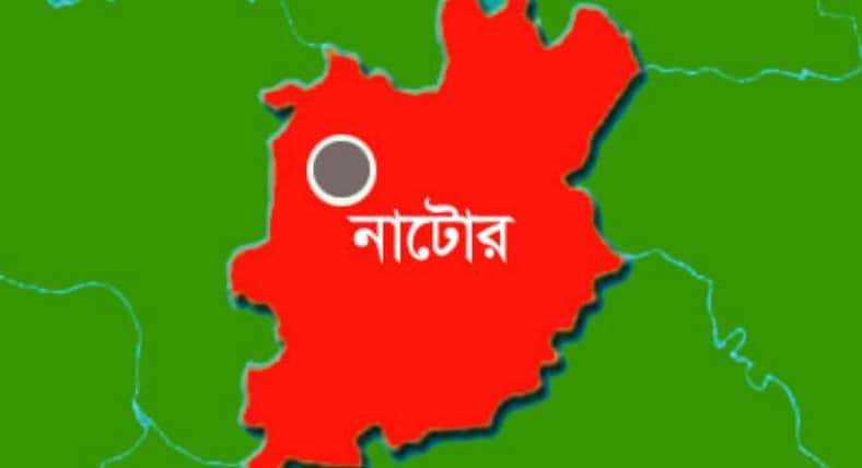 গাছের গুঁড়ির সাথে মোটরসাইকেলের ধাক্কা, প্রাণ গেল চালকের