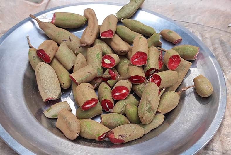 কুষ্টিয়ায় লাল রঙের তেঁতুল