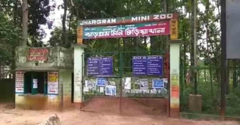 খাঁচা ভেঙে পালালো চিতা