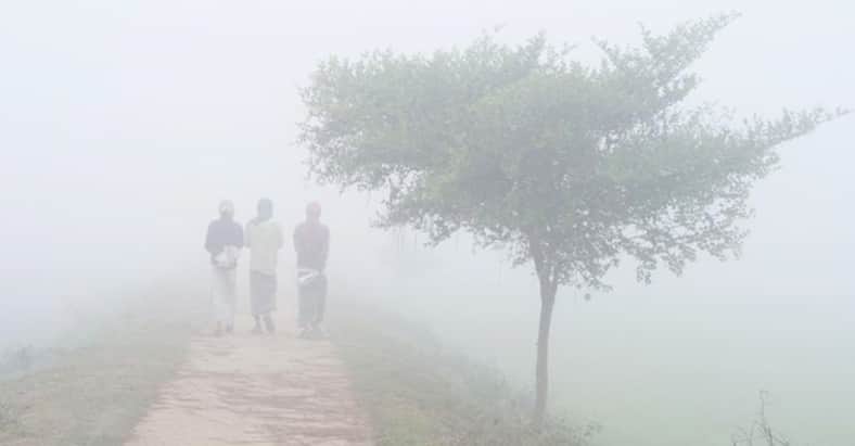 আরও কমে যাবে রাতের তাপমাত্রা, বাড়বে শীতের দাপট