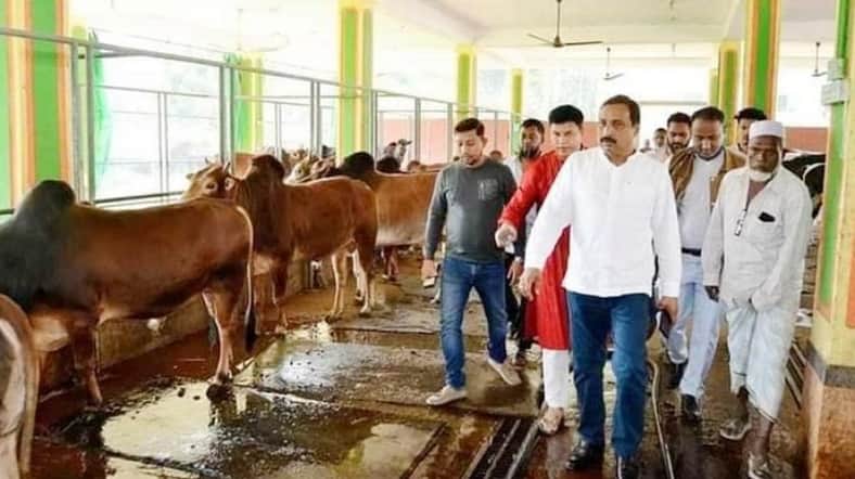 জয়নাল হাজারীর কুলখানিতে ১২টি গরু খাওয়াবেন নিজাম হাজারী