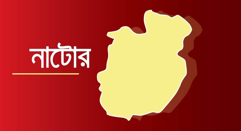 নাটোরে ত্রিমুখী সংঘর্ষে কাঠ ব্যবসায়ীসহ দুই জনের মৃত্যু