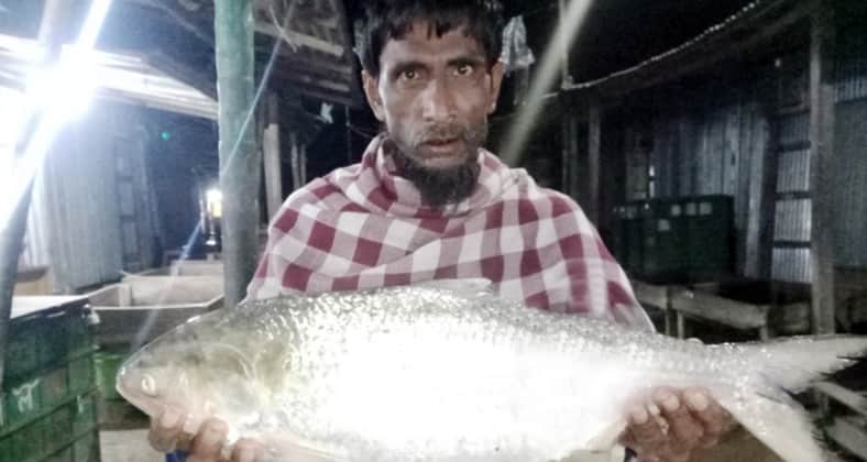 একটি ইলিশের দাম তিন হাজার টাকা ইলিশের দাম