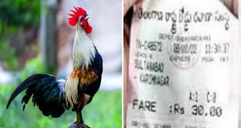 মোরগের ভাড়া দিতে হলো সরকারি বাসে মোরগের ভাড়া