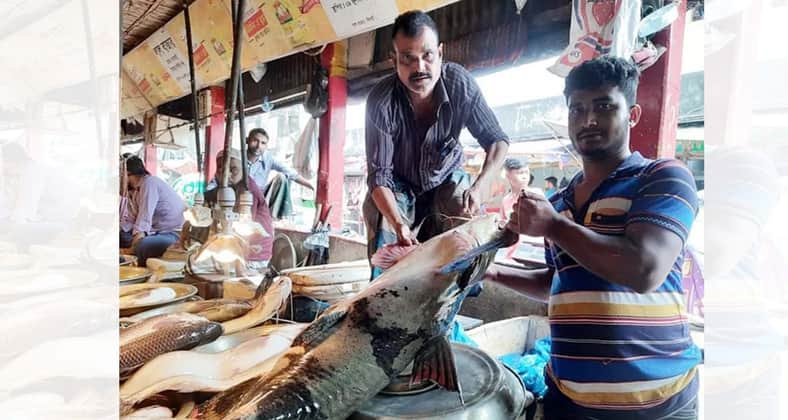 ৮০ কেজির বাগাড়