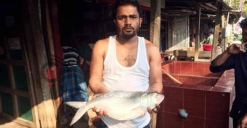 ২৩৮০ টাকায় বিক্রি হলো একটি ‘রাজা ইলিশ’