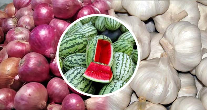 পেঁয়াজ বা রসুনের দামে তরমুজ