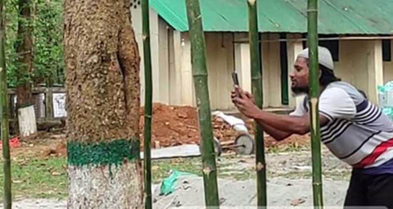 মধুপুরে রক্তচন্দন গাছ, একনজর দেখতে এলাকাবাসীর ভির মধুপুরে রক্তচন্দন গাছ