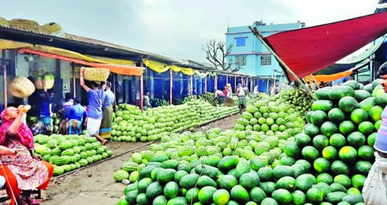 তরমুজ