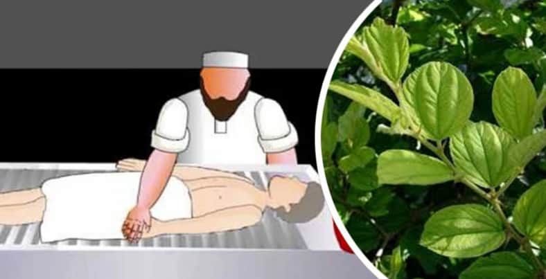 মৃত ব্যক্তির গোসলের পানিতে বরই পাতা দেয়া হয় কেন বরই পাতা