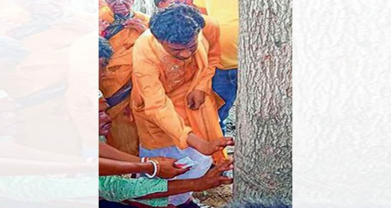 গাছের সঙ্গে বিয়ে