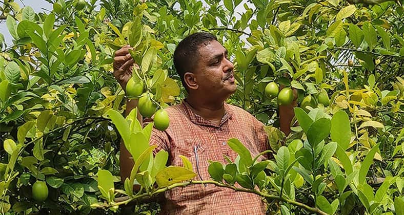 সুজন