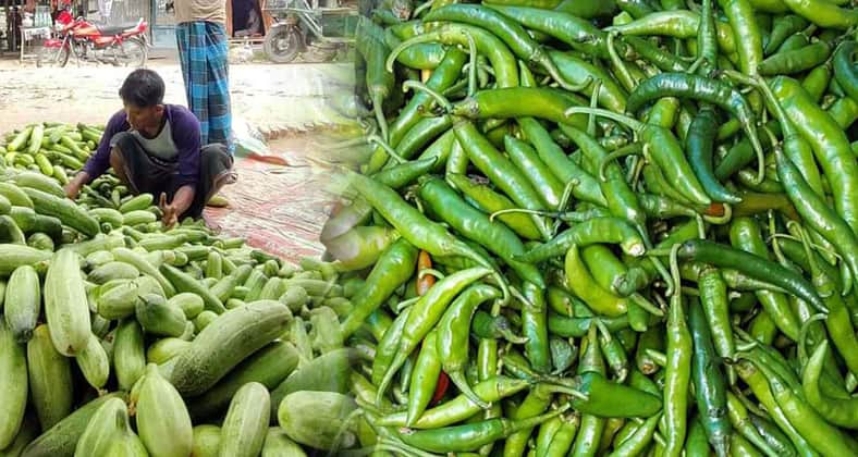 শসা ও কাঁচা মরিচের দাম