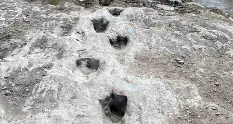ডাইনোসরের পায়ের ছাপ