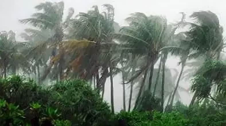 ঝড়ো হাওয়া-বৃষ্টিপাত