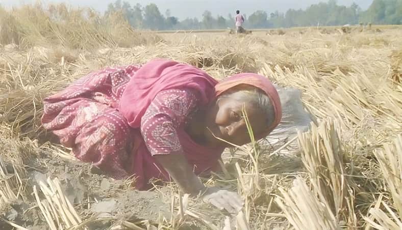 আজিফা বেওয়া
