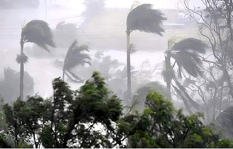 ৯ জেলায় ঝড়ের পূর্বাভাস