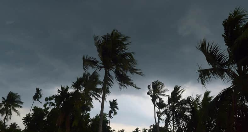 কালবৈশাখী