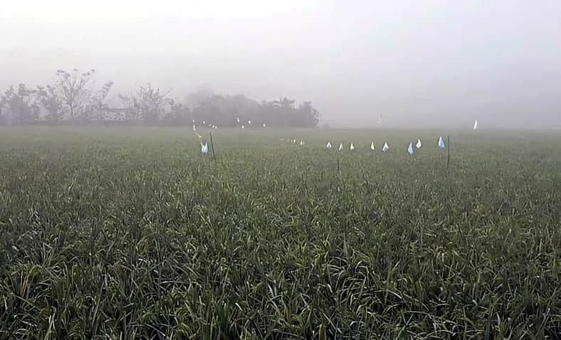ঘন কুয়াশা