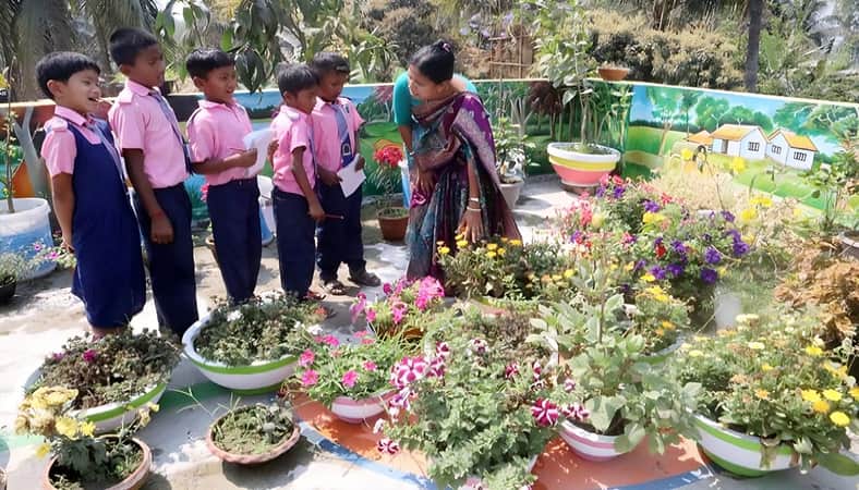 দৃষ্টিনন্দন ছাদ বাগান