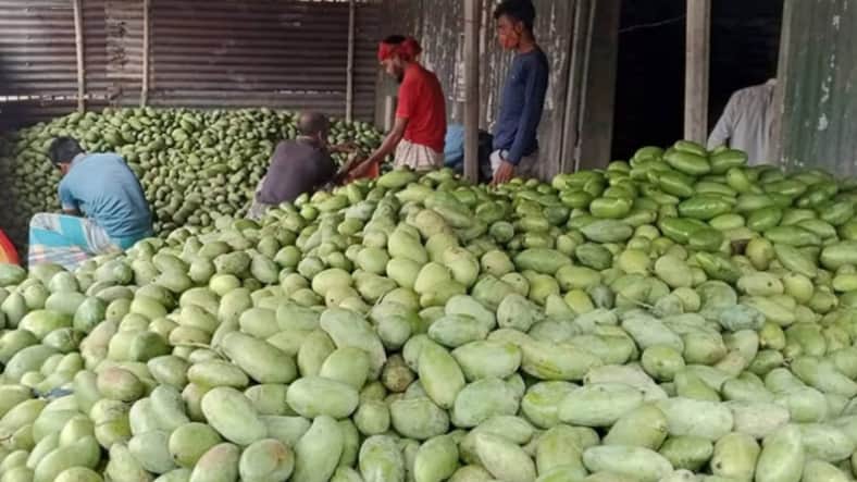 আমের দাম