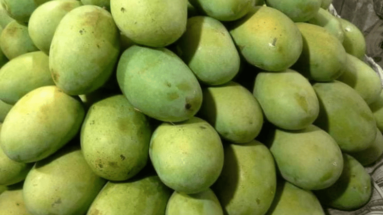 আম্রপালি
