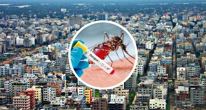 ডেঙ্গু