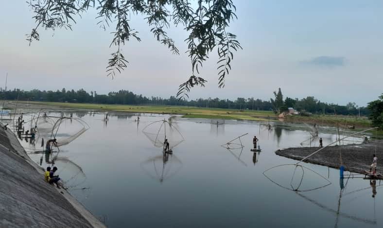 সারি সারি ছিপজালে ছোট মাছের ছড়াছড়ি