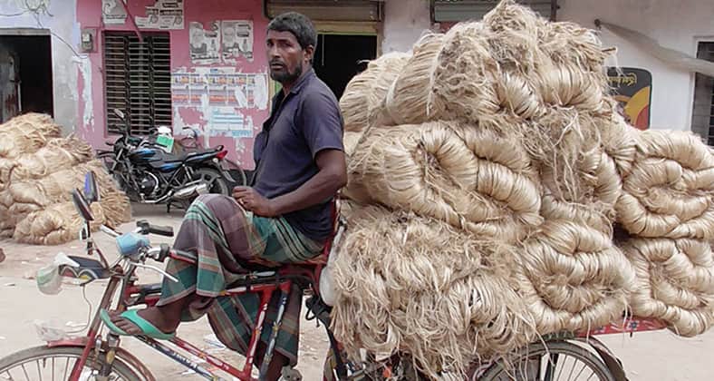 লোকসানের মুখে পড়েছে চাষীরা