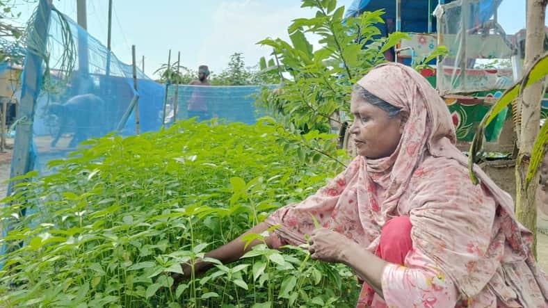 গাজীপুরে নয়াপাড়া আশ্রয়ণ প্রকল্পে স্বপ্নের বীজ বুনছেন তারা