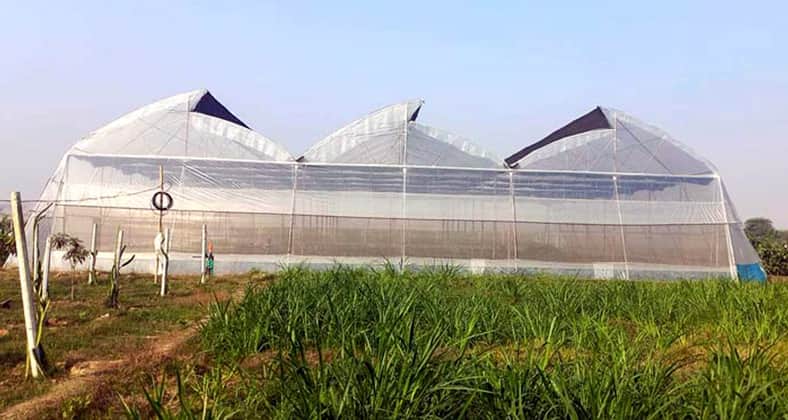 পলিনেট হাউস
