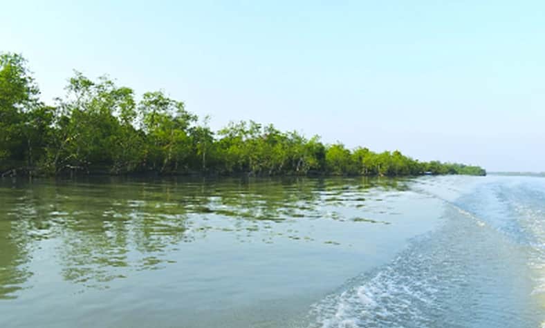 ছৈলারচর