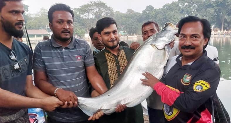 বড়শি
