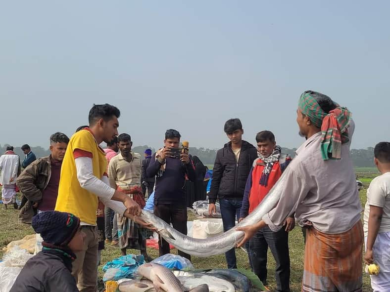 এক পাখি মাছেই হাজার ক্রেতা!