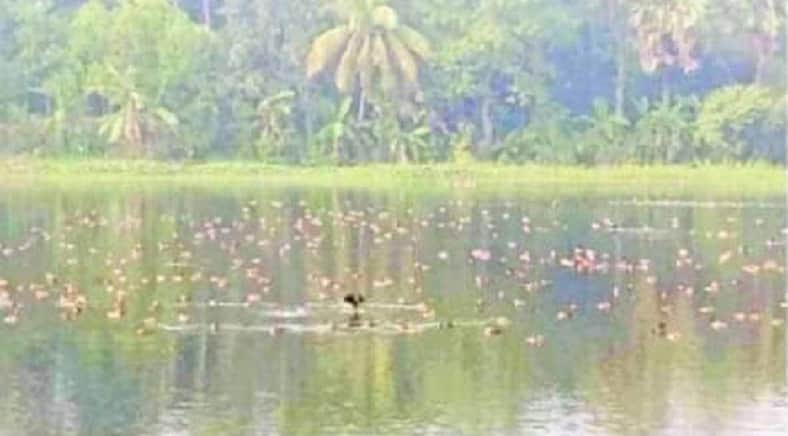 আজরাঈল দীঘি