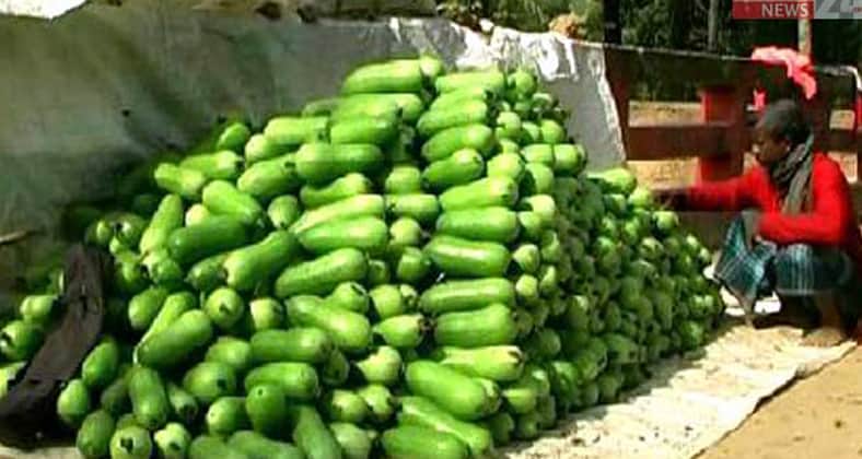 Chal Kumra