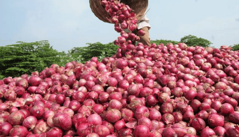 onion