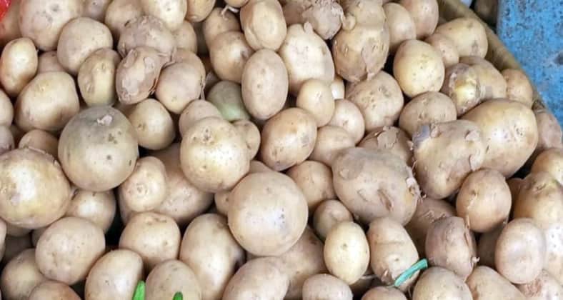 potato